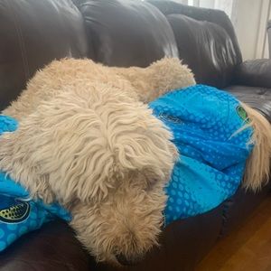 Meet your Posher, Raegan